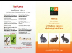 Klubová výstava viedenských králikov - Žilina